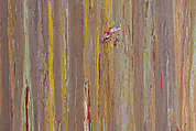 Number 23, Larry Poons (American, born Tokyo, 1937), Acrylic on canvas